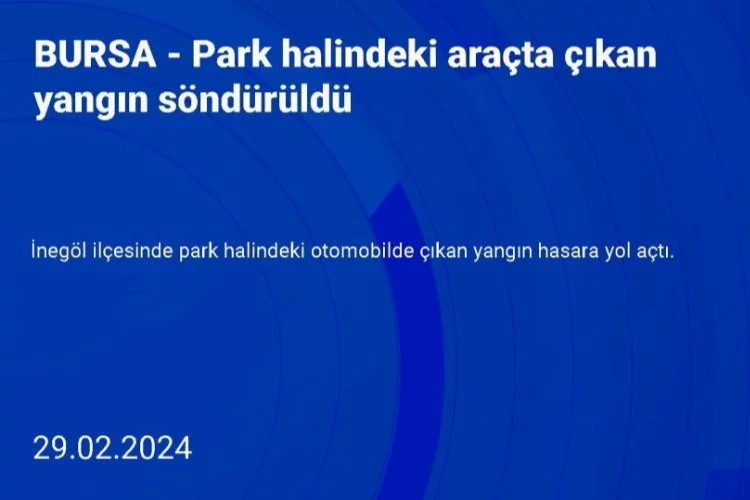 Bursa'da park halindeki araç alev aldı