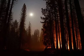 ABD'de orman yangınları nedeniyle acil durum ilan edildi!