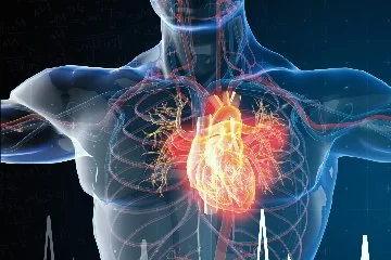 Ani kalp ritim bozukluğu direkt ölüme neden olabiliyor