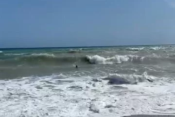 Antalya'da denizde mahsur kalan adamı dalgalar kurtardı!