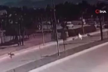 Antalya'da köpeklerden kaçan gence araba çarptı!
