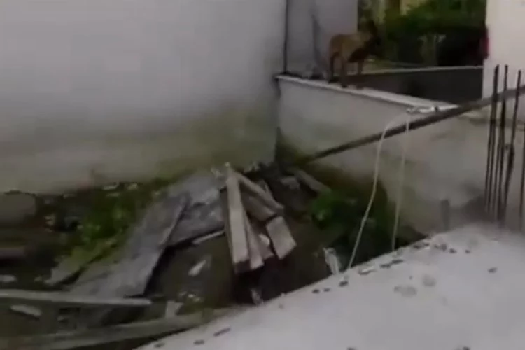 Bursa’da 3 çocuğu ısıran köpeklere polisin müdahalesi kamerada