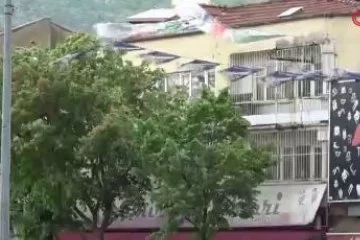 Bursa'da şiddetli rüzgar hayatı olumsuz etkiledi