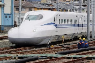 Japonya'da yolcu treninde bulunan yılan paniğe yol açtı