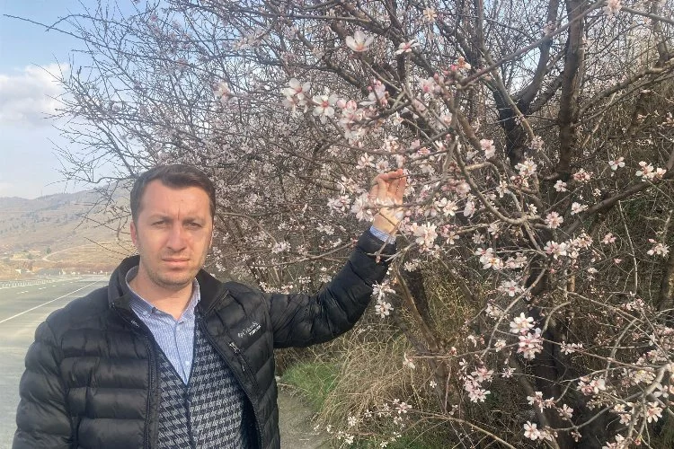 Malatya’da ağaçlar çiçek açtı