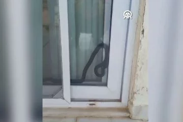 Mersin'de eve giren yılan korkuttu!