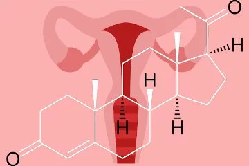 Östrojen hormonu nedir? Östrojen seviyesini nasıl yükseltiriz?