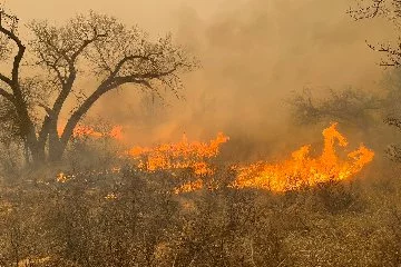 Texas'ta itfaiyeciler orman yangınının arasında kaldı!