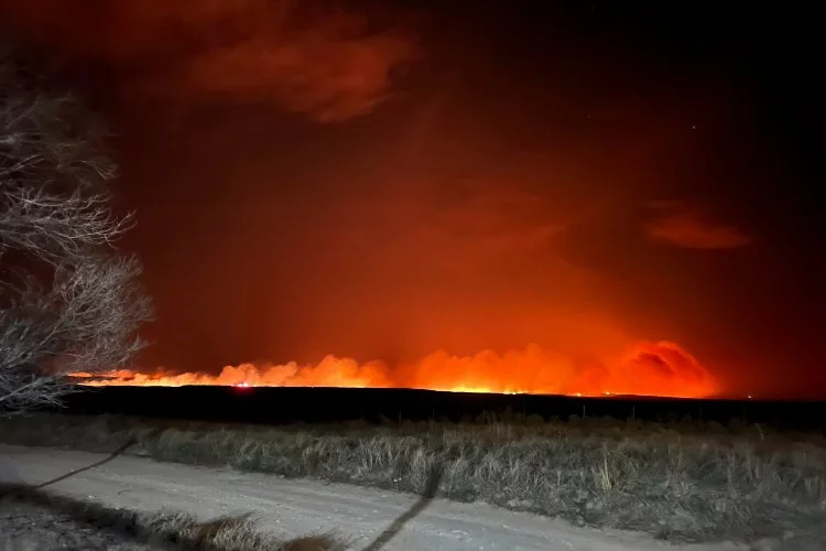 Texas’taki orman yangınları durdurulamıyor! Bölgede acil durum ilan edildi