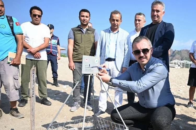 Turistler, Çıralı'ya caretta carettaları görmek için geliyor