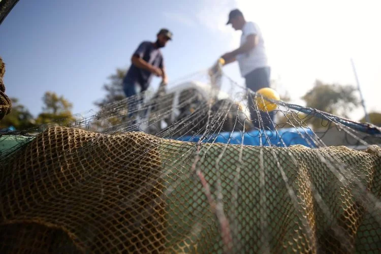Türkiye'de balıkçılık sektörü rekor kırdı!