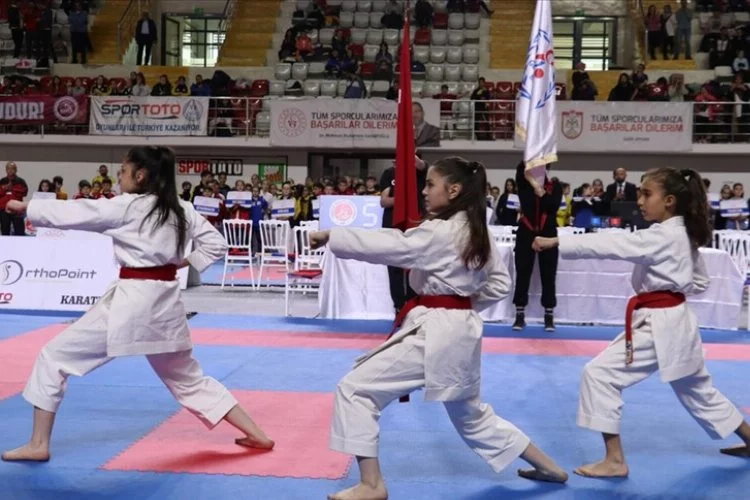 Türkiye Karate Şampiyonası Ankara'da düzenlenecek
